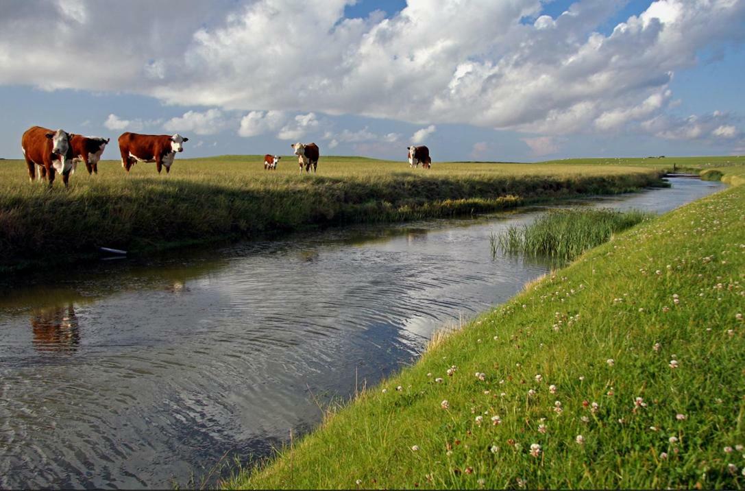 "Wattengebiet Entdeckungsreise" Tzummarum Exteriér fotografie