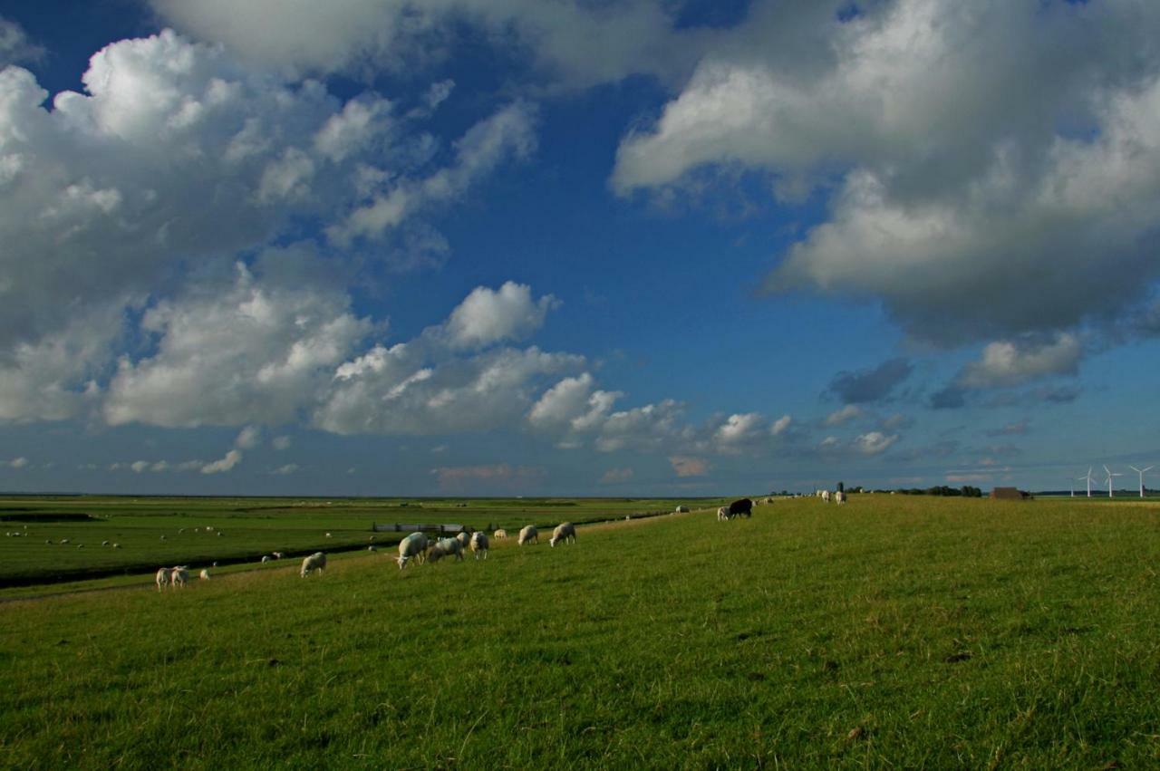 "Wattengebiet Entdeckungsreise" Tzummarum Exteriér fotografie